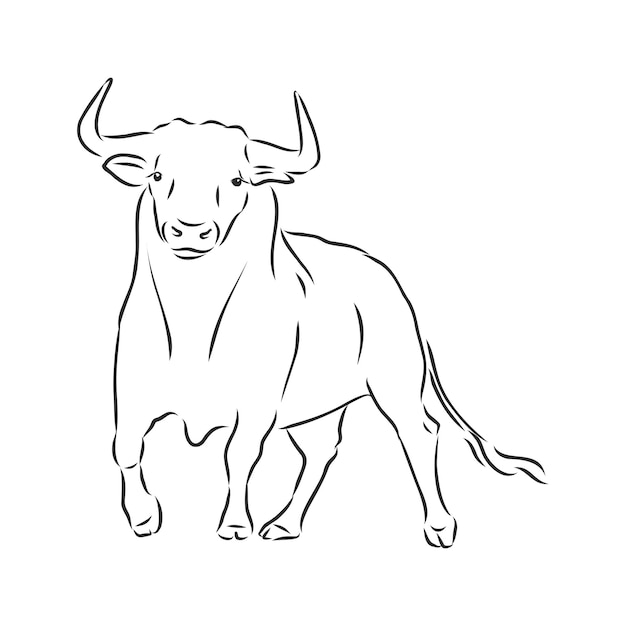 Zwart-wit lineaire verf tekenen stier vectorillustratie. stier vector schets illustratie