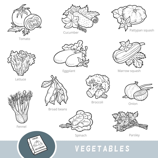 Zwart-wit set groenten met namen in Engels Cartoon visueel woordenboek