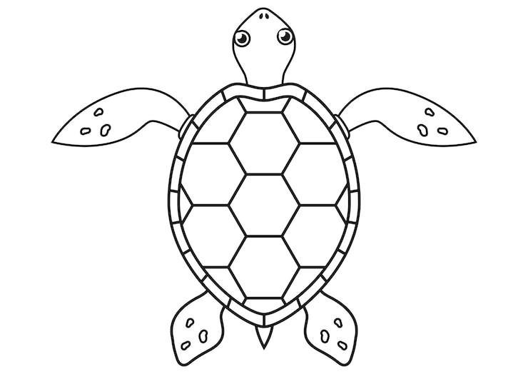 Vector zwart-wit tekenfilm schildpad vector plat ontwerp ideaal voor kleurbladen
