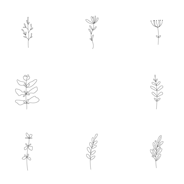 Zwart-wit voorgevormde eenvoudige minimalistische elegante bloemenset