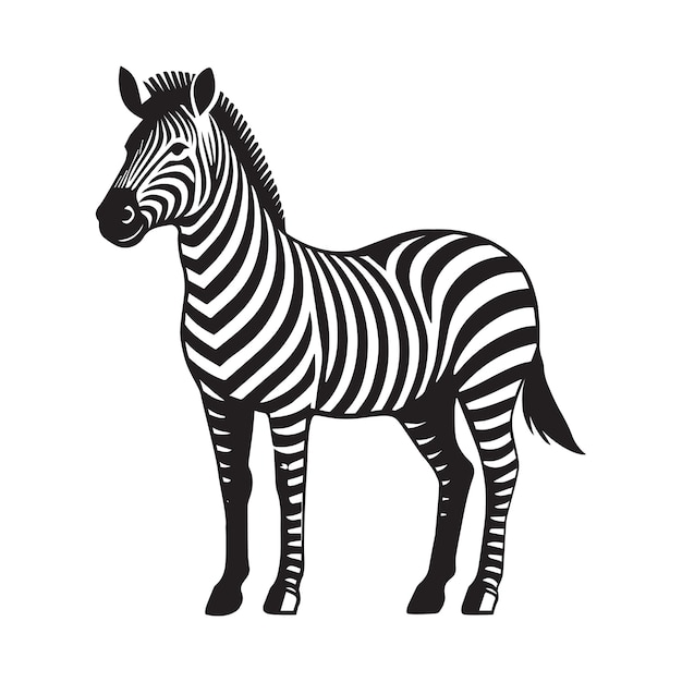 Zwart-wit Zebra Vector Illustratie Clipart Svg