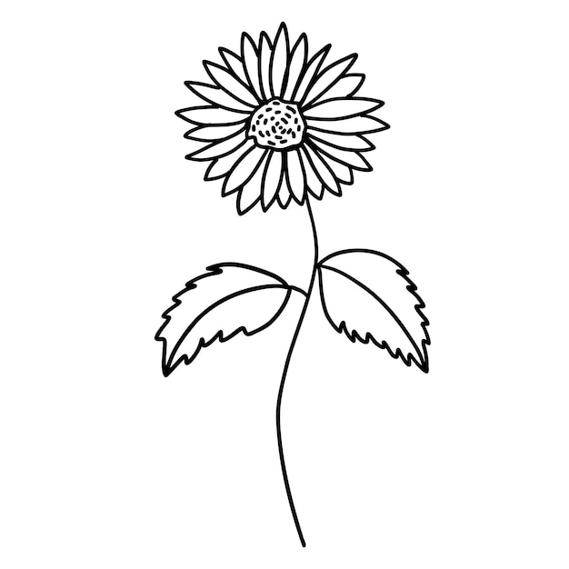 Zwart-witte bloem in schets doodle stijl