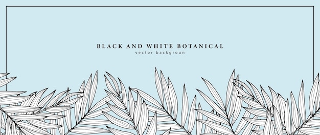 Zwart-witte botanische achtergrond met palmtakken Achtergrond voor decor over gevechten omvat ansichtkaarten en presentaties Frame voor tekst en foto