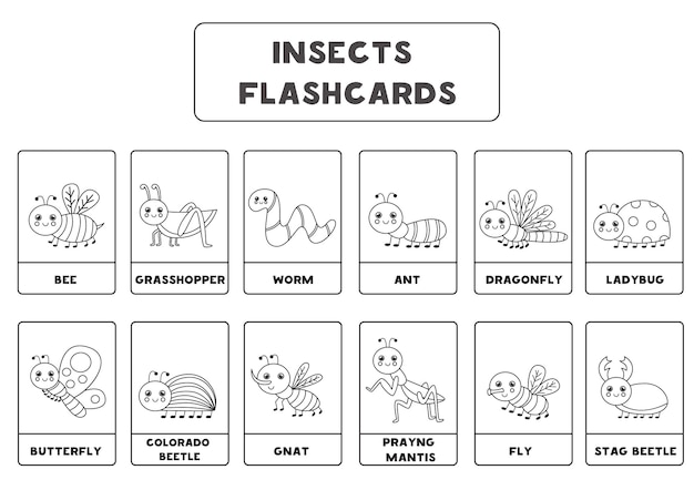 Zwart-witte insectenflitskaarten voor kinderen