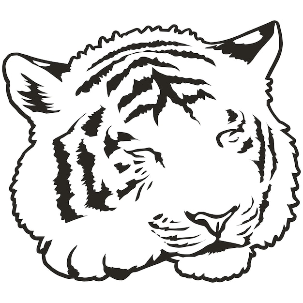 Zwart-witte tijgerkop op een witte achtergrond