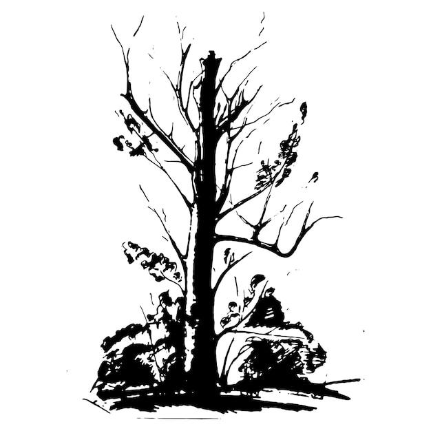 zwarte boom silhouet geïsoleerd op een witte achtergrond