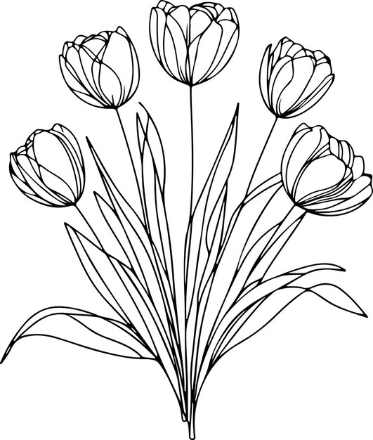 Zwarte contour tulp vector illustratie