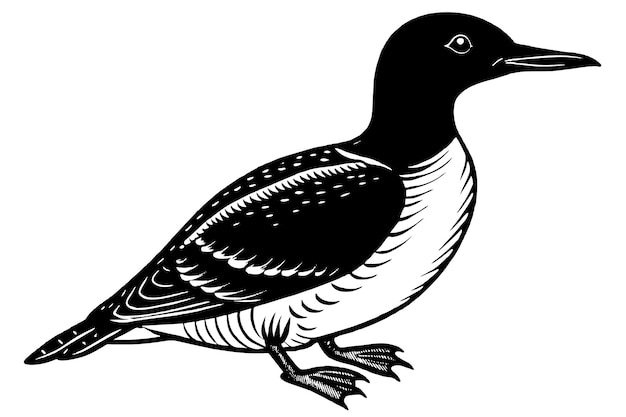 zwarte en witte gewone murre vogel vector