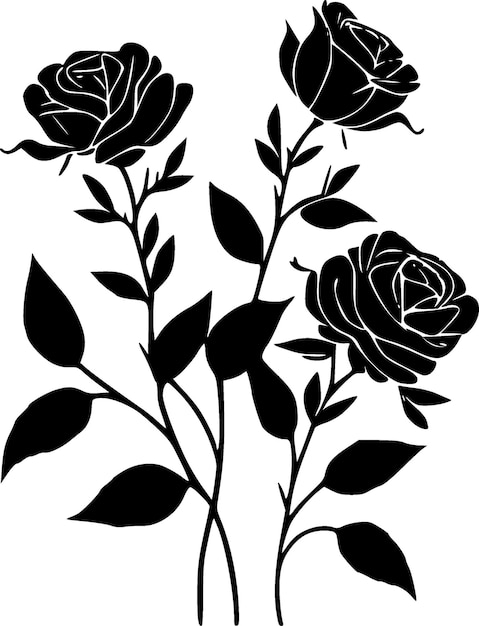 Zwarte en witte rozen Vector illustratie