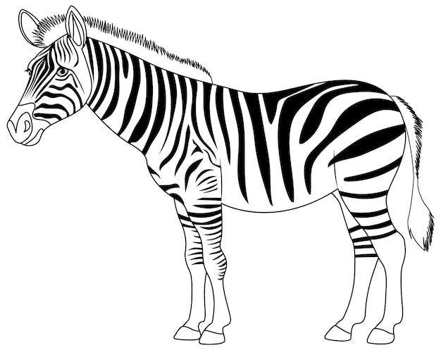 Vector zwarte en witte zebra