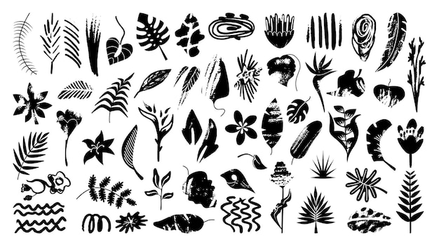 Vector zwarte gestructureerde tropische bladeren botanische silhouetten schets grunge vuile bladeren en takken exotische palm jungle bladeren neoterische vector clipart