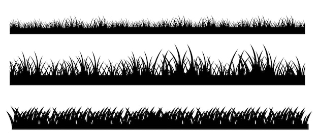 Zwarte Grasgrens Geïsoleerde Witte Achtergrond, Vectorillustratie
