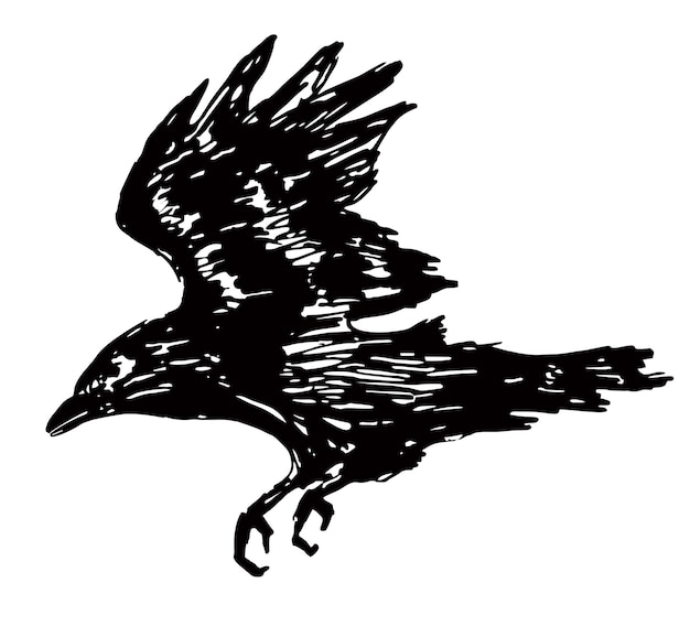 Zwarte grunge borstel raaf silhouet geïsoleerd op een witte achtergrond Vliegende raaf Inkttekening