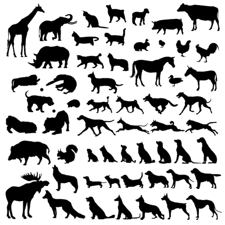 Vector zwarte icoon set honden dierlijke icoontjes in set collectie voor ontwerp speelgoeddieren bitmap symbool voorraad web