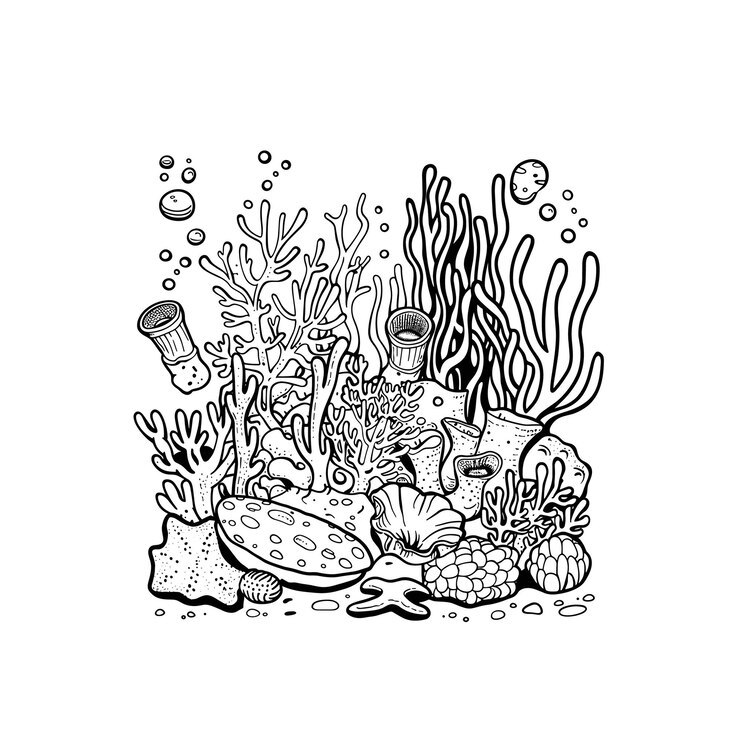 Vector zwarte kleur zeewier vector kunst illustratie set