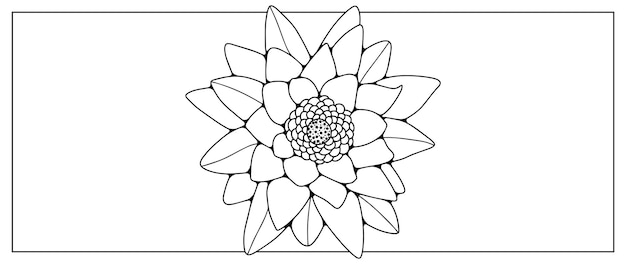 Zwarte met de hand getekende omtrek van een lotusbloem op een witte achtergrond