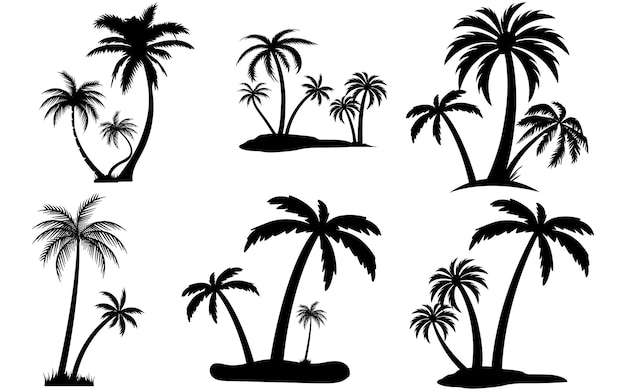 Zwarte palmbomen set geïsoleerd op witte achtergrond Palm silhouetten