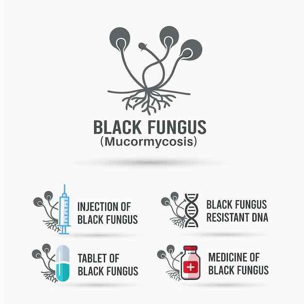 Zwarte schimmel vector ontwerp