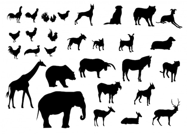 Vector zwarte silhouetten set van dieren verschillende soorten