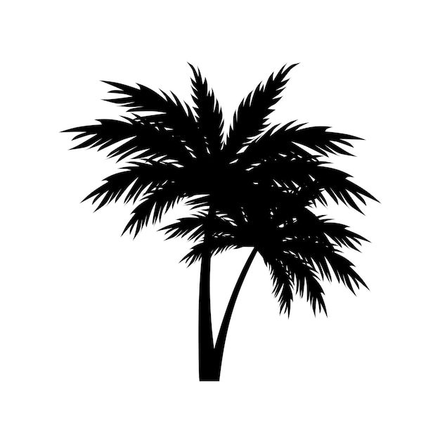 Zwarte silhouetten van tropische palmbomen vector op witte achtergrond