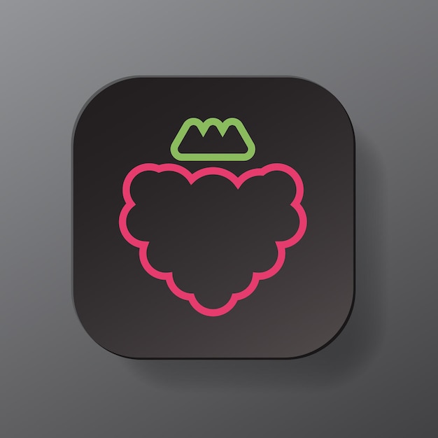 Zwarte vierkante knop met frambozen fruit overzicht pictogram roze bes op de plaat Flat symbool teken vector illustratie geïsoleerd op grijze achtergrond Gezonde voeding concept