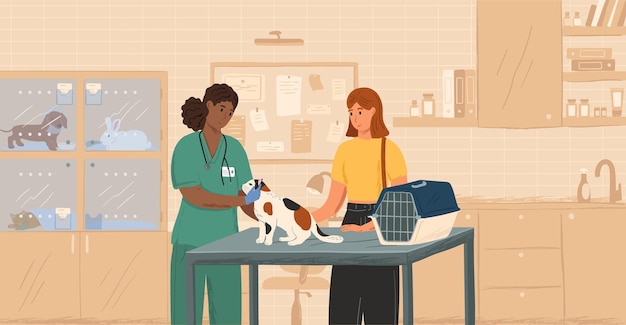 Zwarte vrouwelijke dierenarts die kat concept vectorillustratie onderzoekt. dierenarts die huisdieren geneest. klant met kat bezoekt dierenkliniek