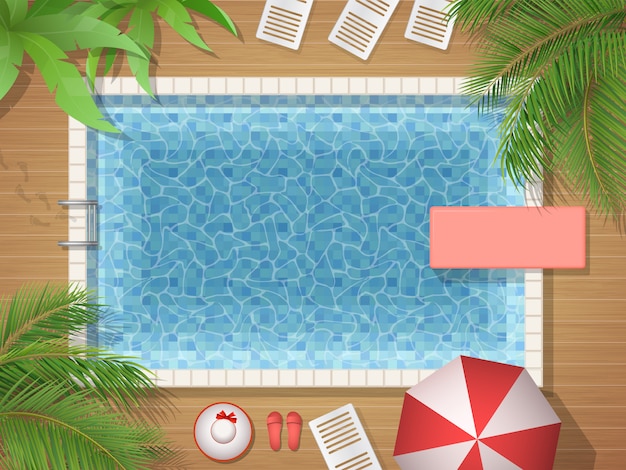 Zwembad en palm bovenaanzicht illustratie