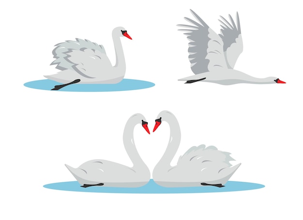 Zwemmen en vliegende witte zwaan vogels set