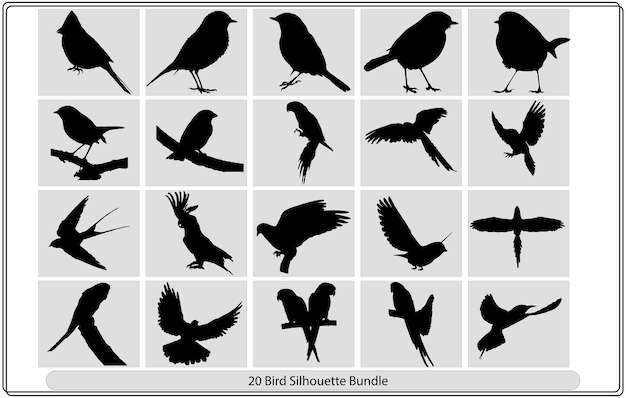 Zwerm vliegende vogels. Vector, Vector silhouet vliegende vogels op witte achtergrond. Tatoeëren