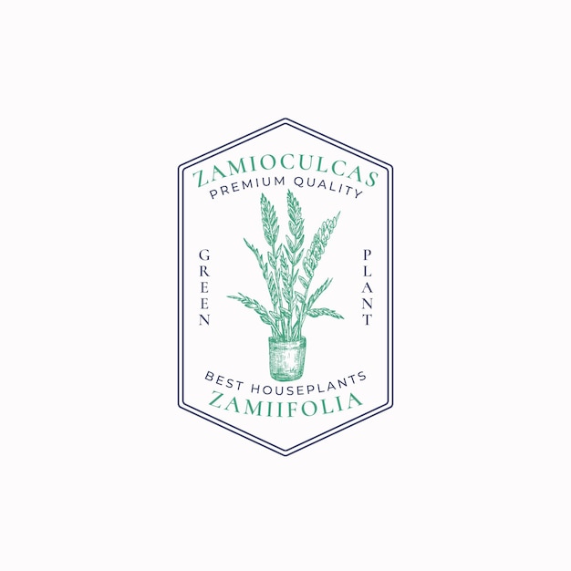 Zz plant badge of logo sjabloon hand getrokken ingegoten zamioculcas met bladeren schets met retro typografie en randen vintage premium huis tuinieren embleem in een frame