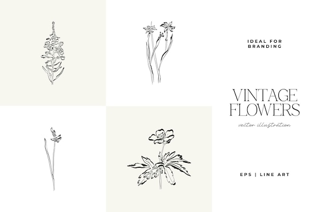01FlowersIllustrationSet