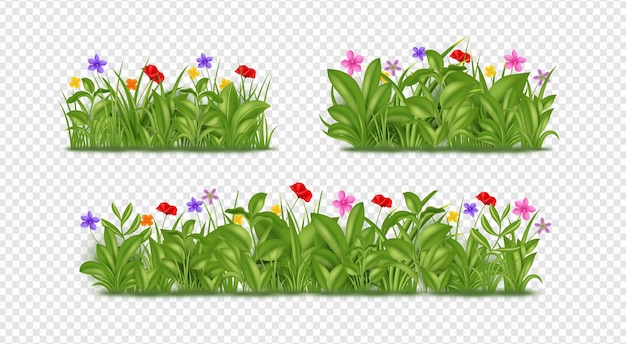 3d grass garden park flowers set Realistic spring clover or lavender field green lawn outdoor plants Botanical border herbal park landscape isolated 3d elements Vector illustration