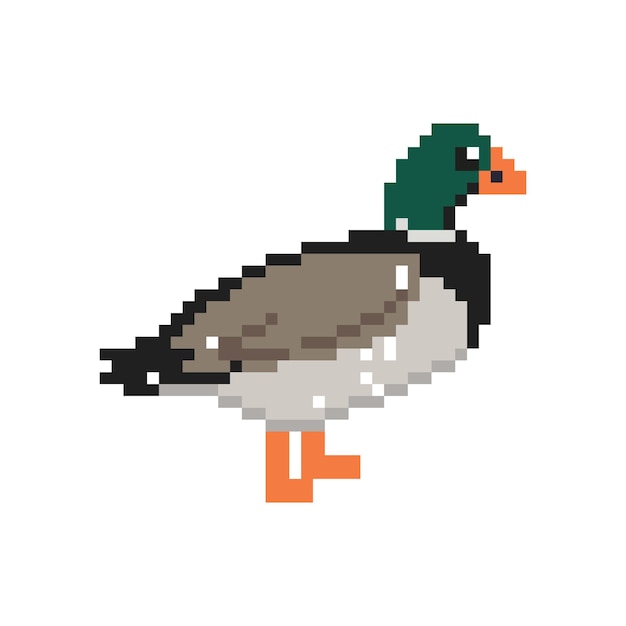 8bit pixels Art duck vector, duck pixel art design