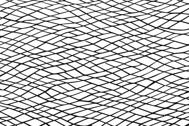 A black and white pattern of lines.