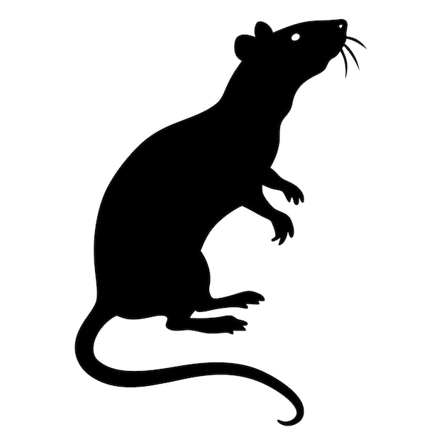 a black rat with a black background that says rat on it