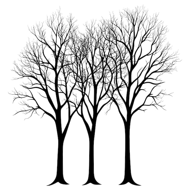 A black silhouette trees on a white background