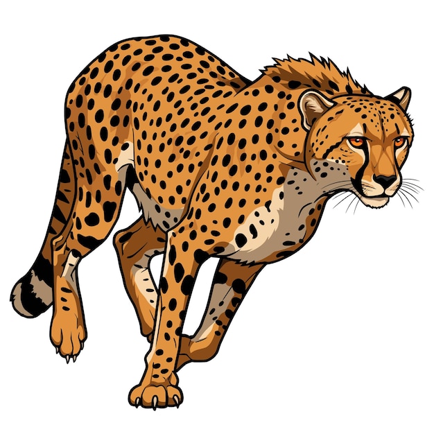 A Cheetah in Full Sprint