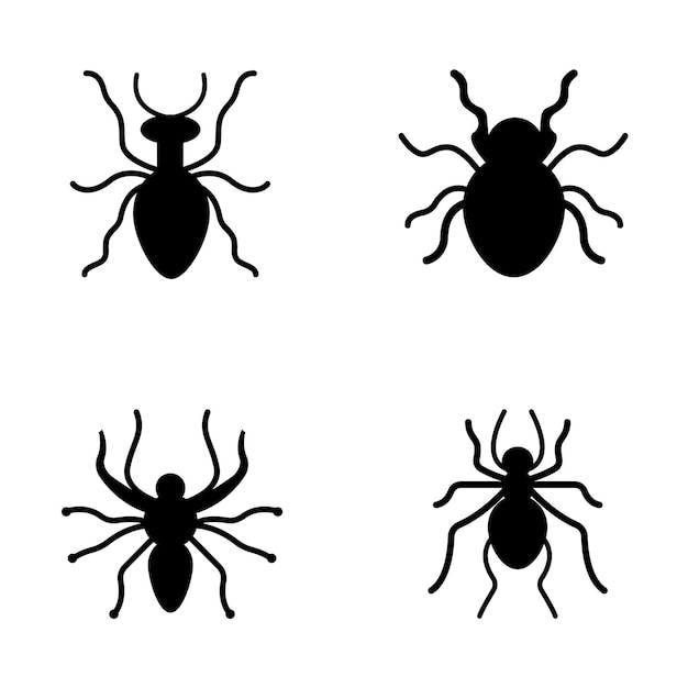 A collection of beetles