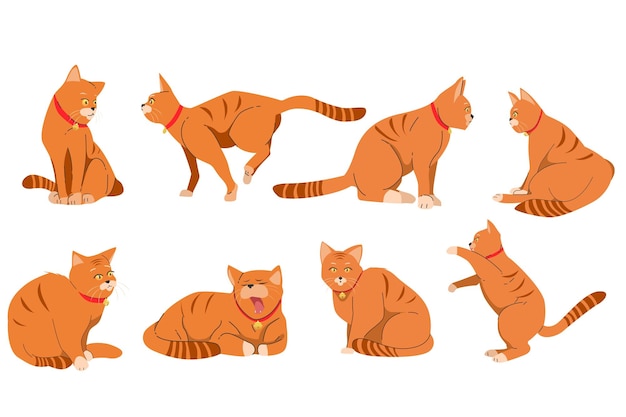 A collection of cats with different expressions