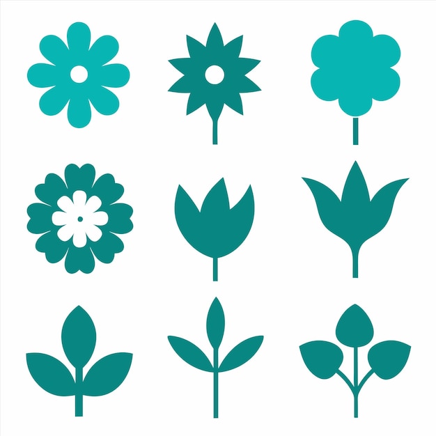 a collection of different flowers and leaves