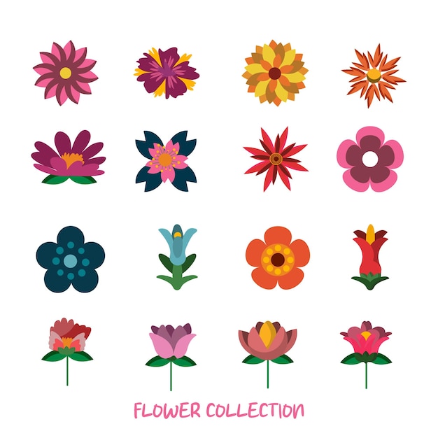 a collection of flowers including a flower collection