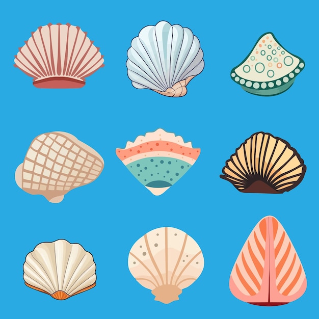 A Collection of Vector Seashells
