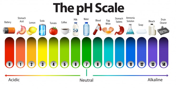 Vektör a ph scale on white background