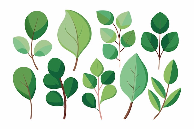 a series of green leaves and branches