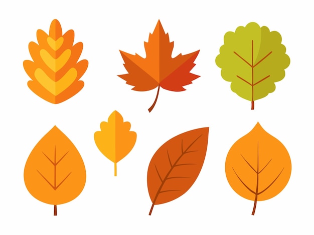 a set of different colored leaves and the word autumn