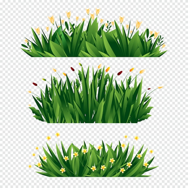 a set of grass with flowers on a white background