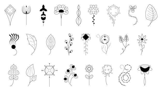 A set of hand drawn flowers and leaves.