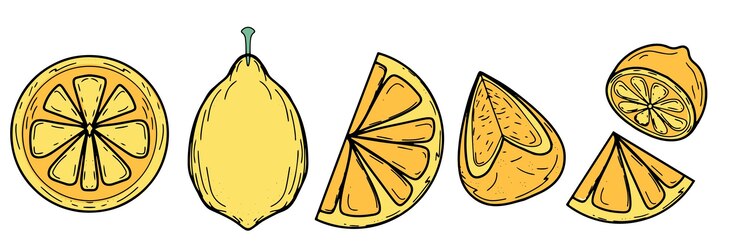 A set of juicy lemons hand drawn for a doodle style summer design