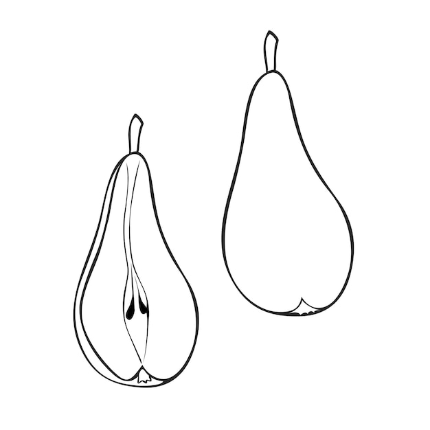 A set of monochrome pictures a delicious ripe pear half a pear Vector
