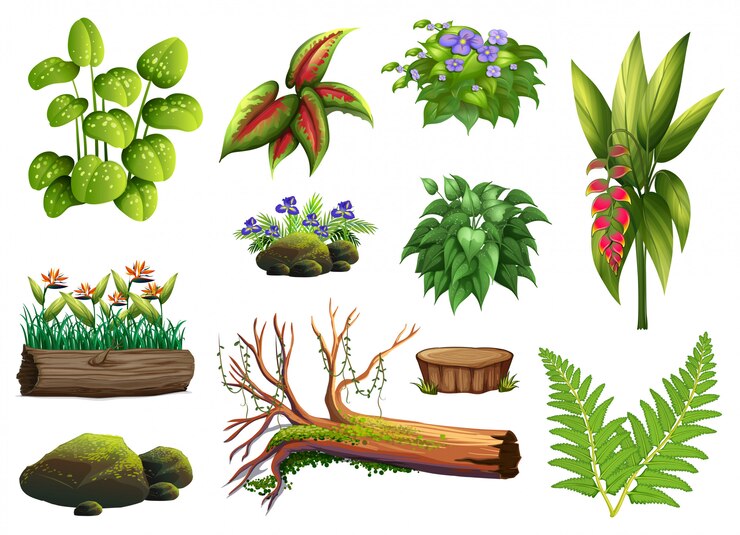 Vektör a set of plant element